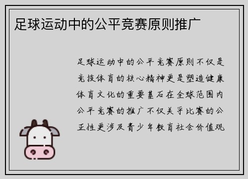 足球运动中的公平竞赛原则推广